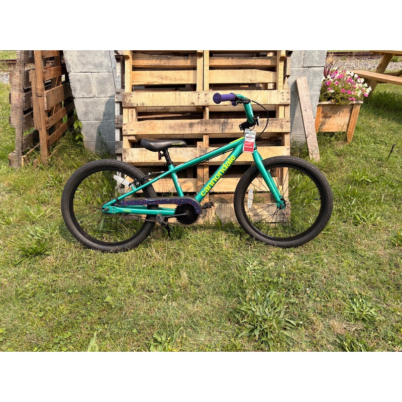 Cannondale Trail 20: Used