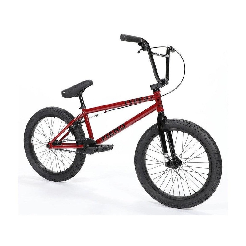 Fiend Type O- 20 Inch Bike