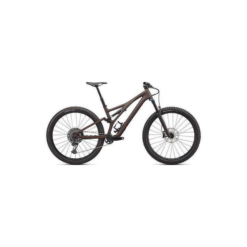 Stumpjumper Expert