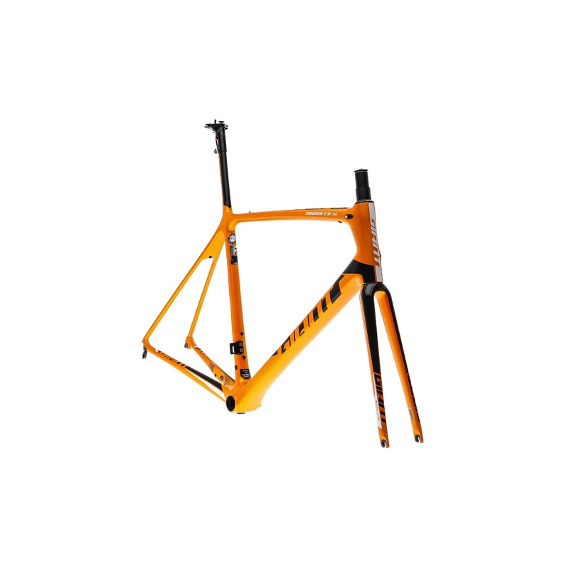 Giant TCR Advanced SL 2 Large Frameset – 2019