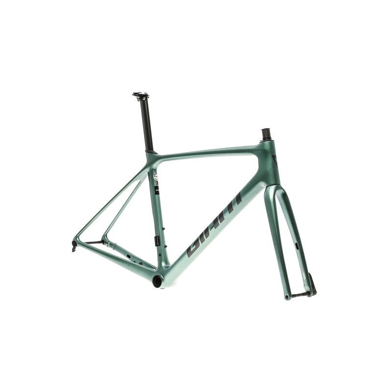Giant TCR Advanced Pro 1 Medium Frameset – 2022