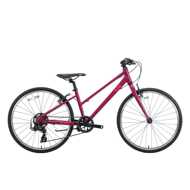 Liv Alight 24 Girl’s Bike – 2021, One Size