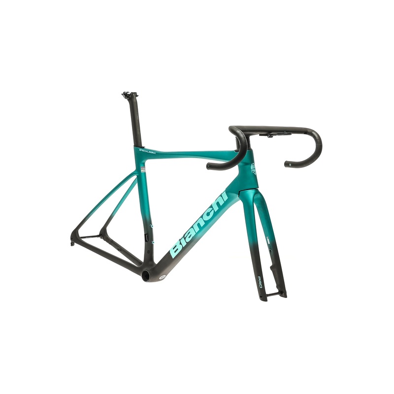 Bianchi Specialissima Pro 55cm Frameset – 2024