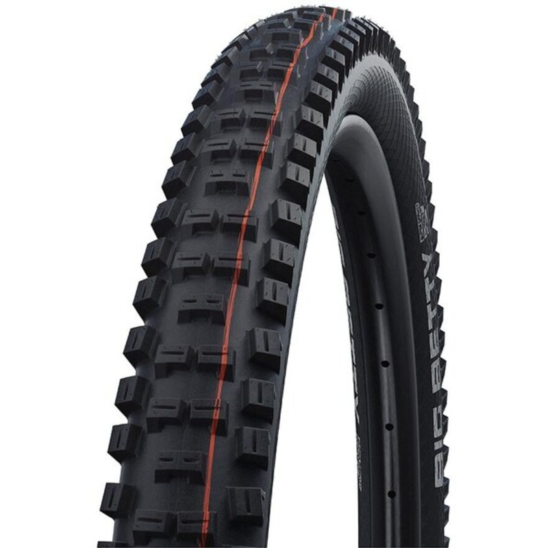 Schwalbe Big Betty