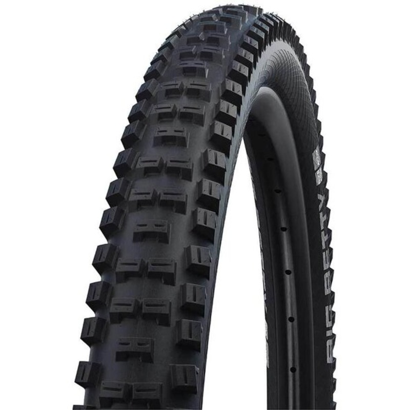 Schwalbe Big Betty – Bike Park