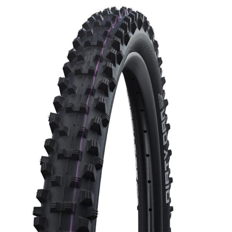 Schwalbe Dirty Dan
