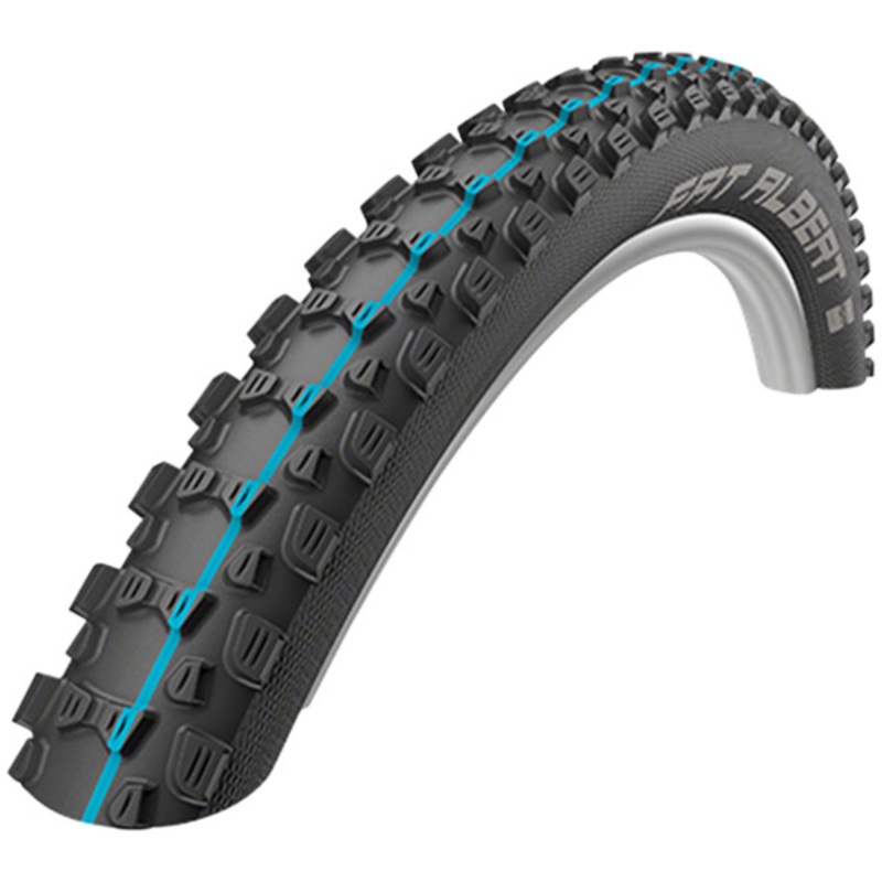 Schwalbe Fat Albert Rear